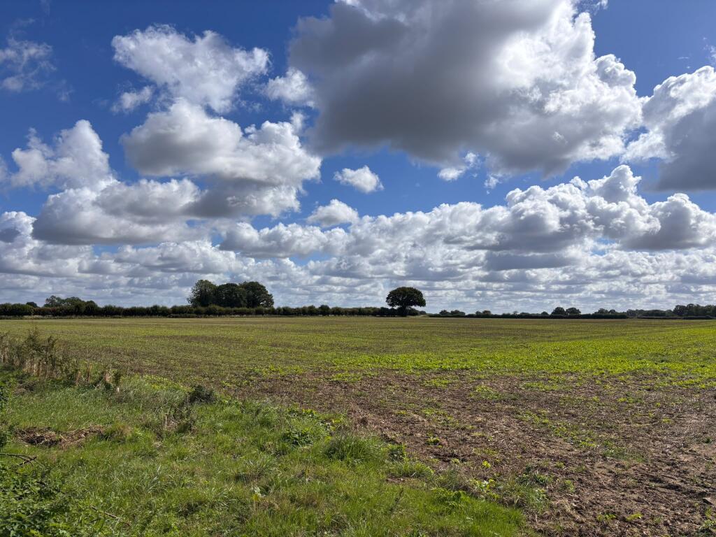 Main image of property: Watton Road, Stow Bedon, Attleborough