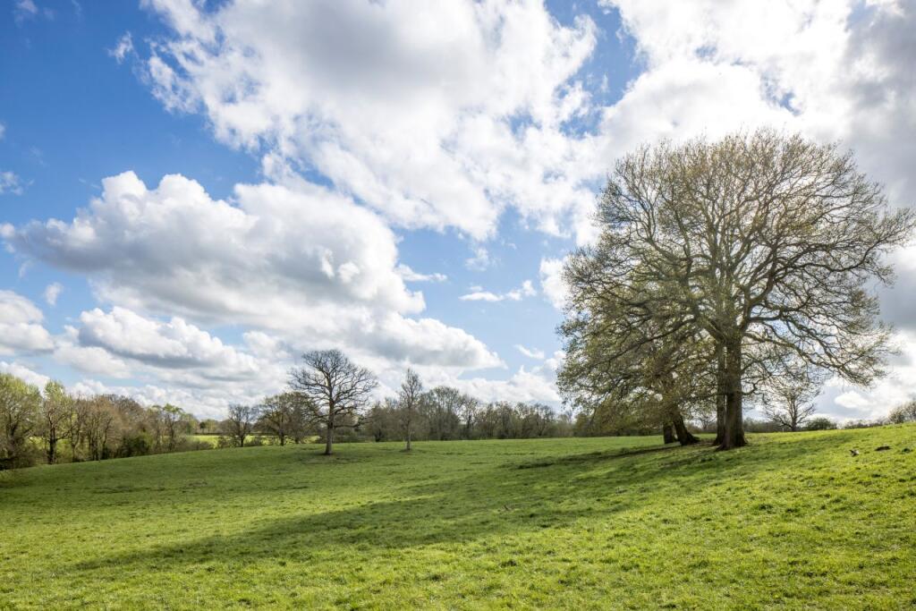 High Trees Woodland