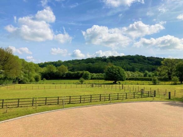 Dog walking fields