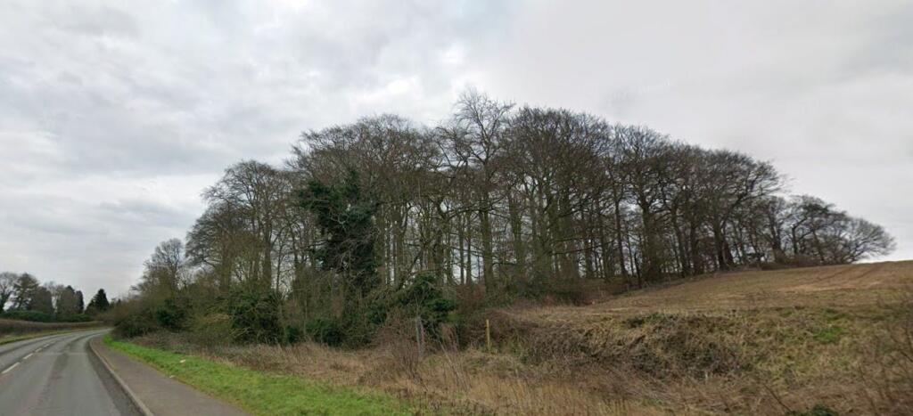 Menagerie Wood viewed from Tickhill Road.jpg