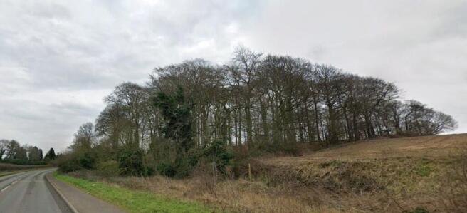 Menagerie Wood viewed from Tickhill Road.jpg