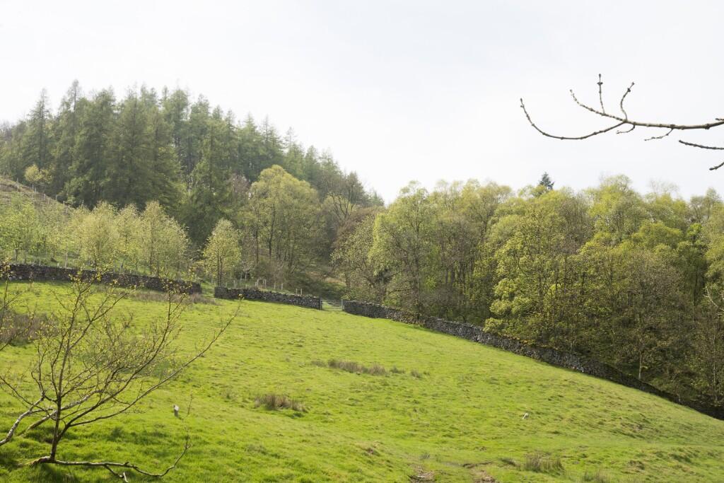 Main image of property: Lot 4 - Land at Ramsgill, Harrogate