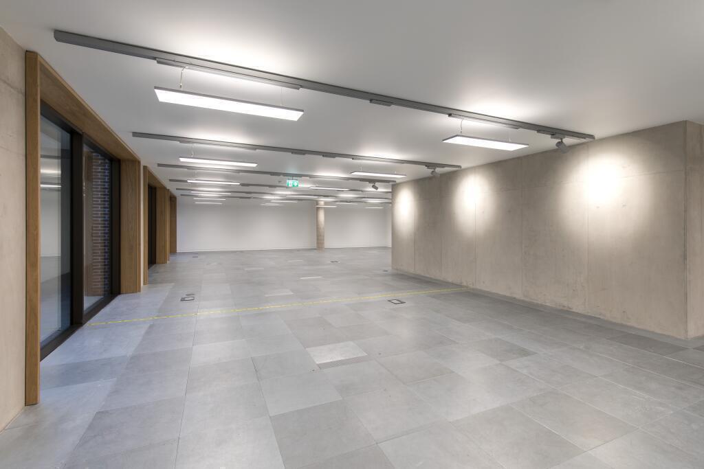 Basement Office