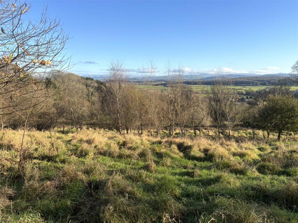 Main image of property: Amenity Land & Woodland - Lot 2, Lindale, Grange-Over-Sands, Cumbria