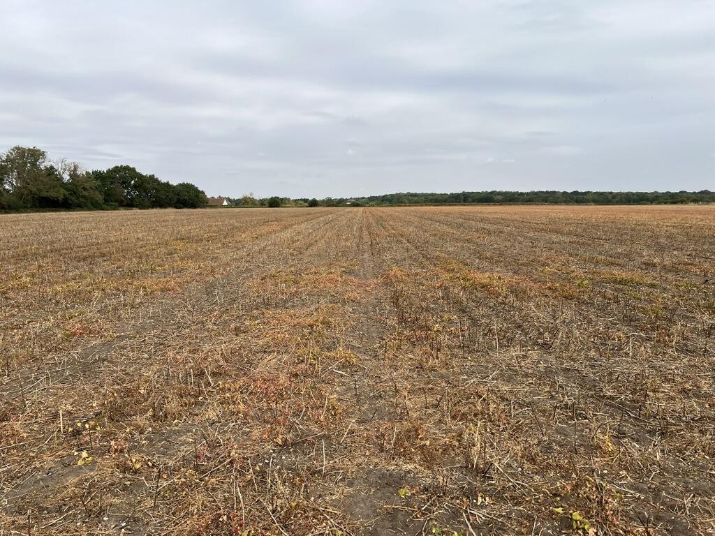 Main image of property: Land At Metheringham, Fen Lane, Metheringham, Lincoln, Lincolnshire, LN4 3AQ
