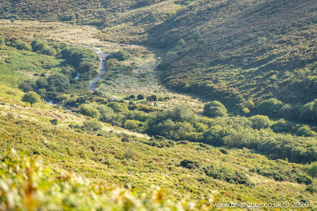 Main image of property: LOT 2 - Didworthy, Dartmoor, South Brent