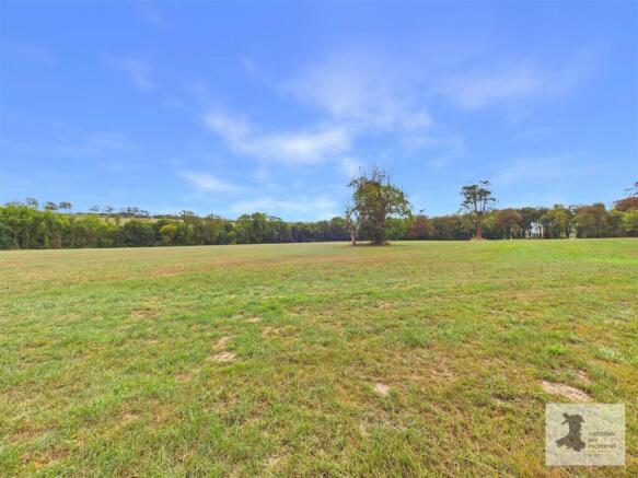 Optional field - available by separate negotiation