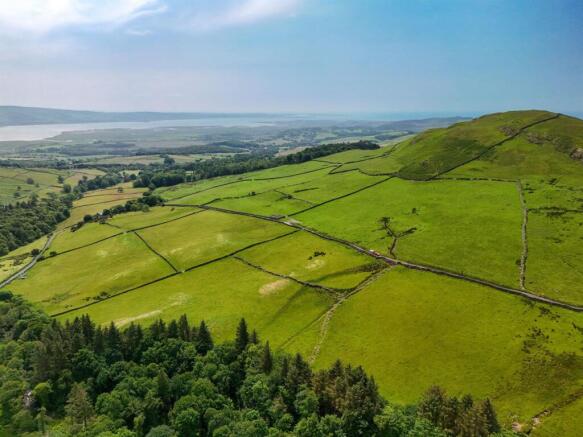 Knott Hill Pasture.jpg