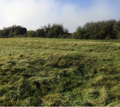 Land off Totternhoe Road, Eaton Bray PIC.png
