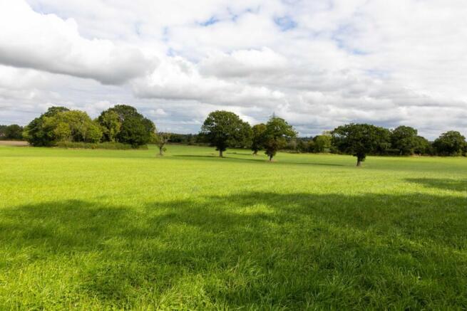Norley Lane