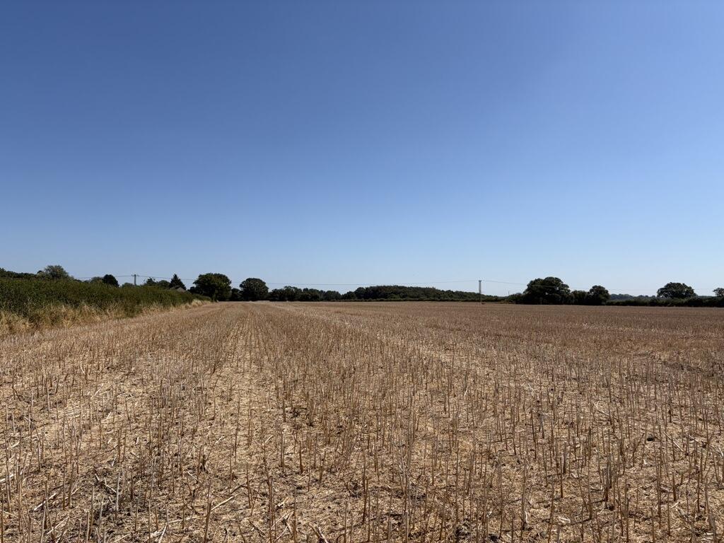 Main image of property: Land At Sparham, Sparham, Norwich, Norfolk, NR9 5QU