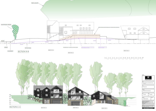 Site View .png