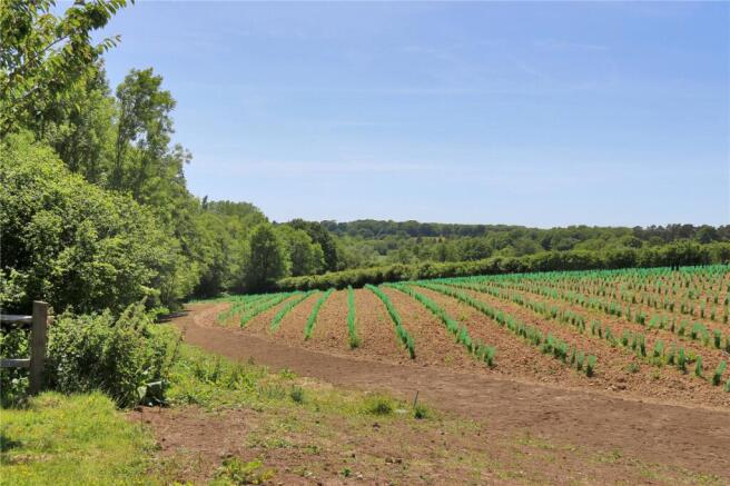 Planting Land