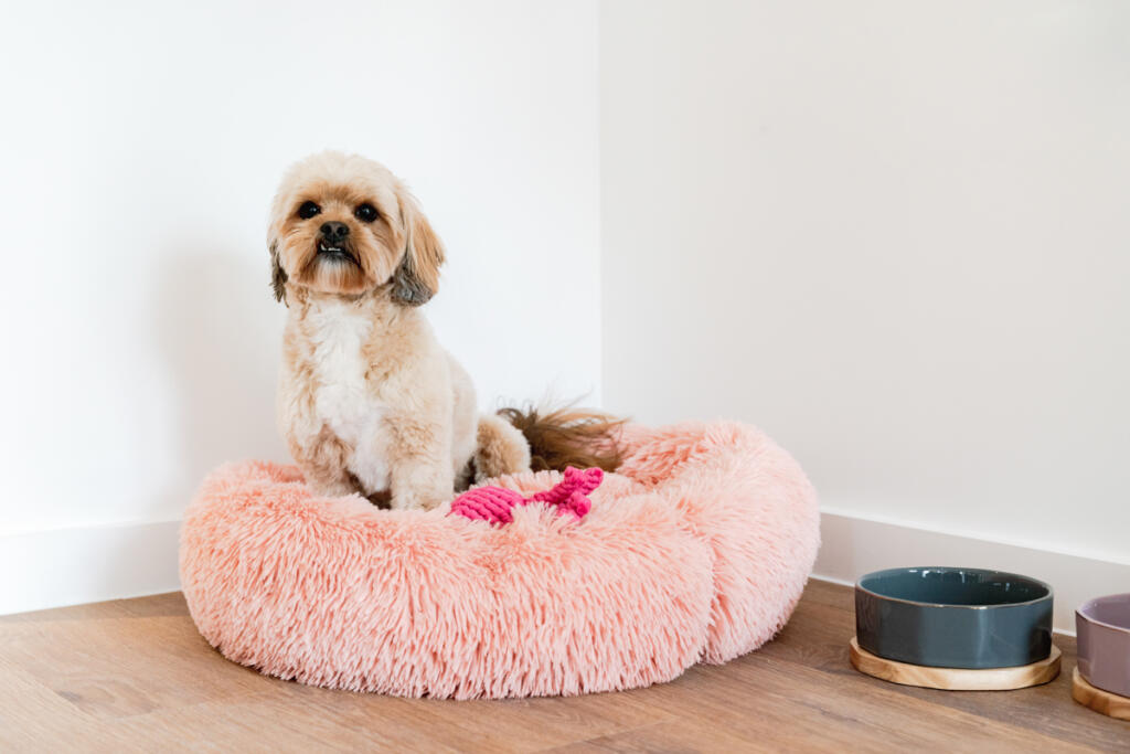 Main image of property: Fizzy Walthamstow, 5D Blackhorse Lane, Walthamstow, E17 6DS