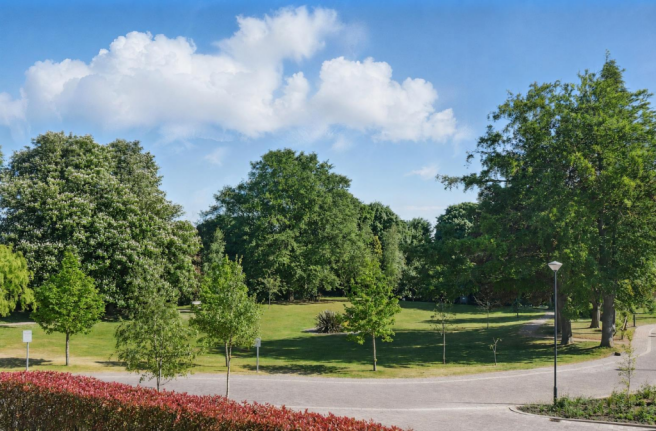 Gardens 1.png
