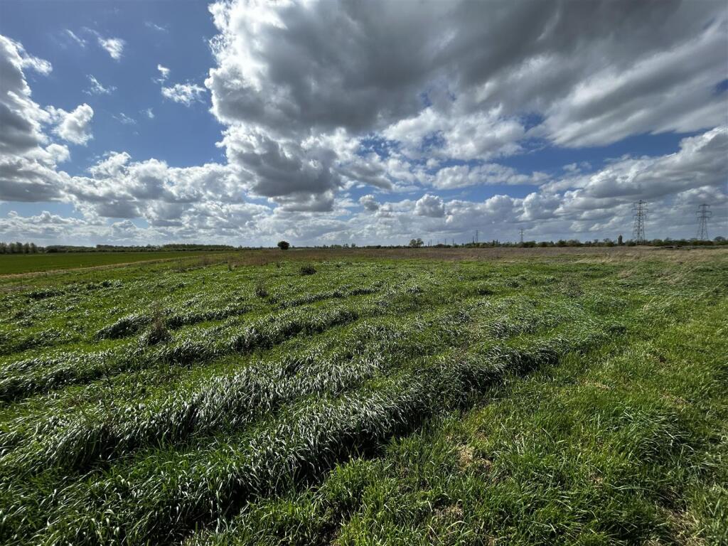 Main image of property: Lot 4 - Land at Little Fen Drove, Hilltop Farm, Reach, Cambridgeshire