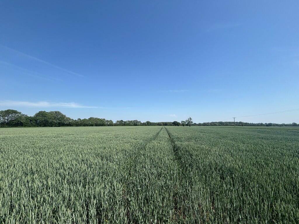 Main image of property: Arable Land to Let by Informal Tender