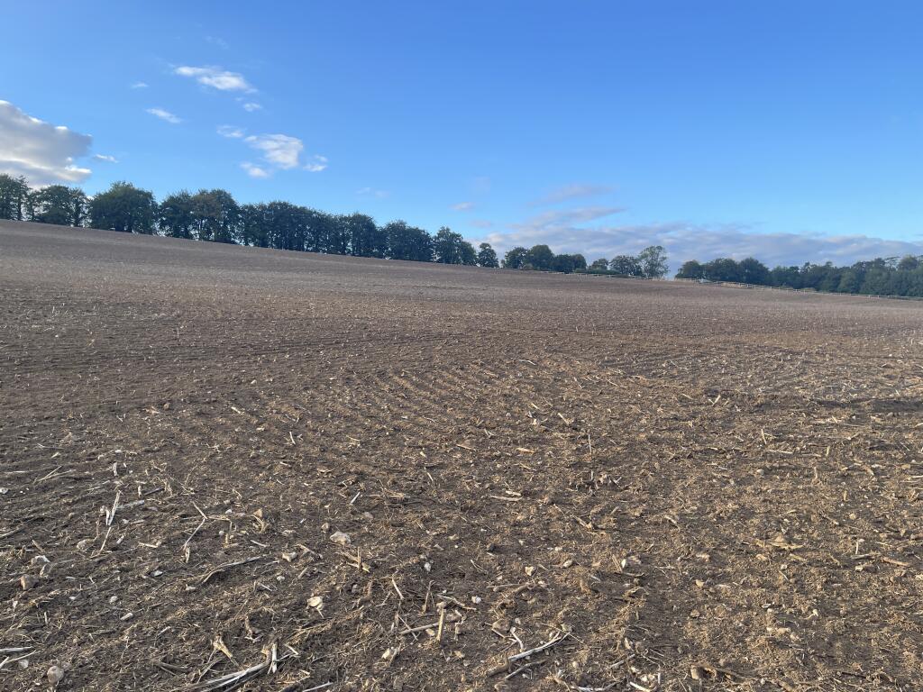 Main image of property: Land at Mare Lane, Owslebury, Winchester, SO21 1LF