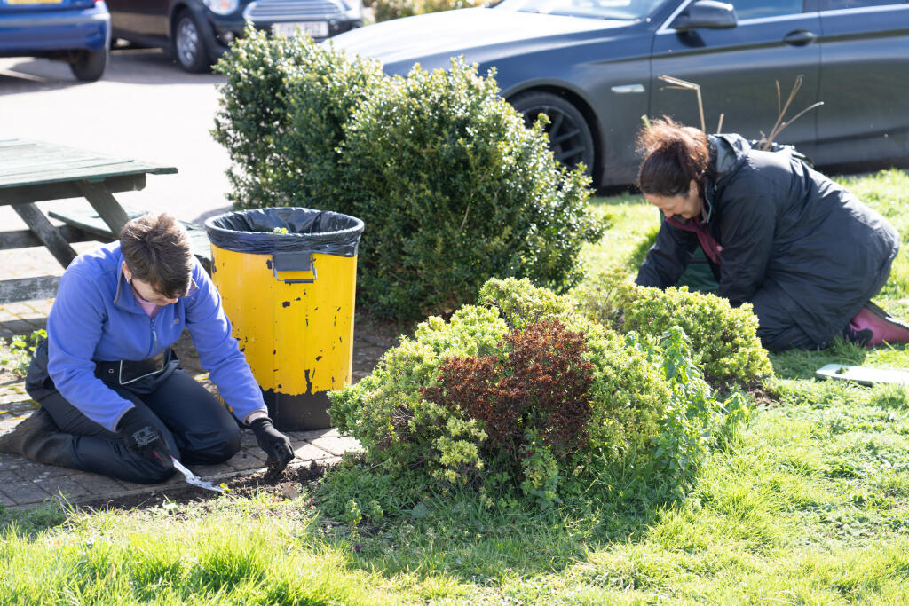Landscaping