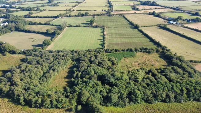 dji_fly_20260730_181756_669_1785828629402_photo_op