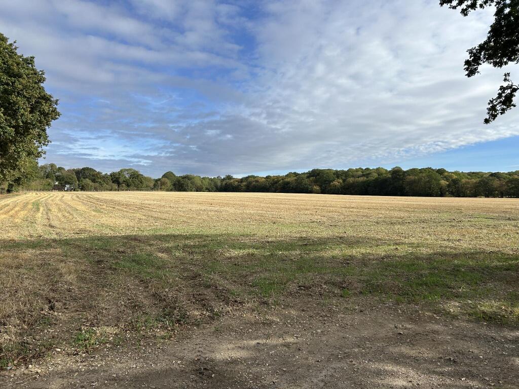 Main image of property: Hyde Chase, Danbury