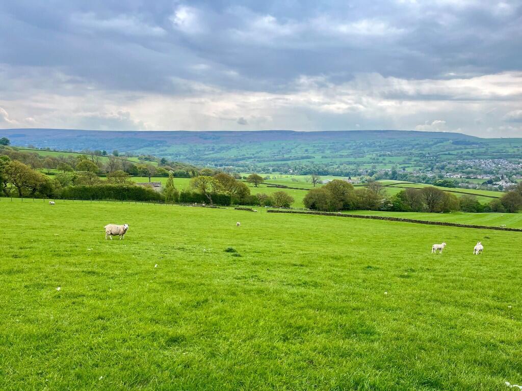 Main image of property: LS29