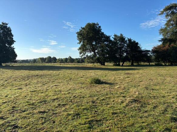 Land