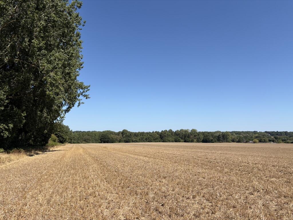 Main image of property: Lot 1 - Land At Costessey, Ringland Lane, Costessey, Norwich, Norfolk, NR8 5BG