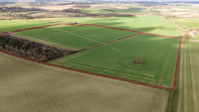 Lot 5