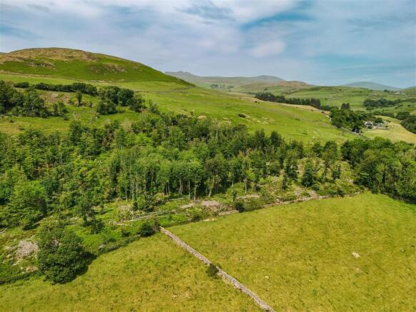 Knott Plantation &amp; Pastureland - Lot 3