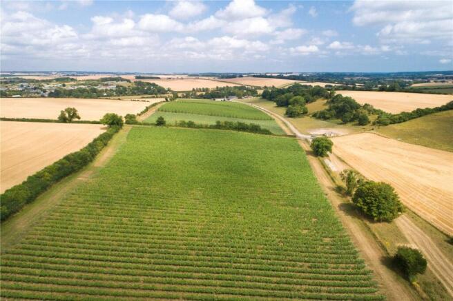 Muston Vineyard