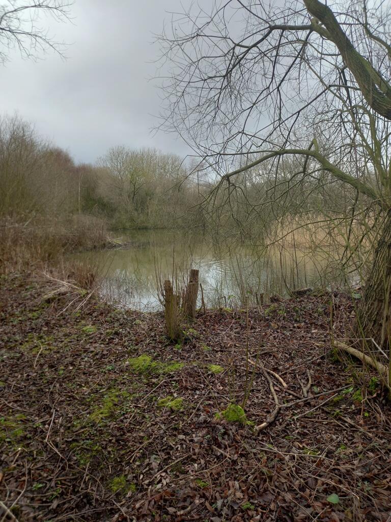 Main image of property: 16.59 Acres Of Woodland, Station Road, Gunness, Scunthorpe, Lincolnshire, DN15 8SU