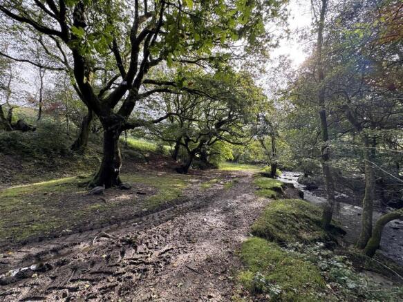 WOODLAND