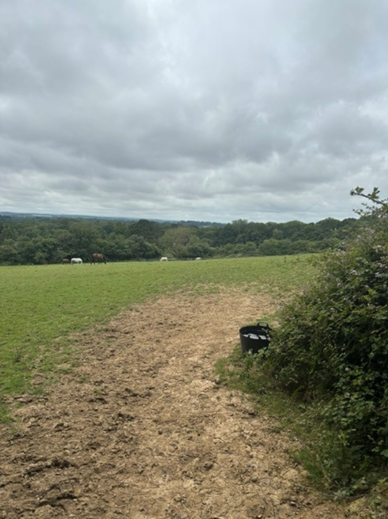Main image of property: Old Holbrook Lane, Horsham, RH12