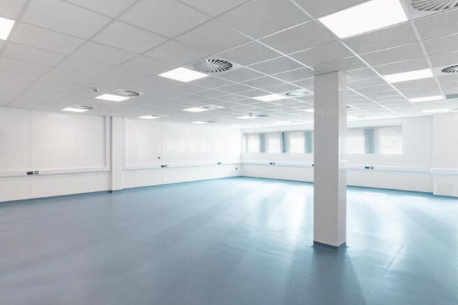 K1 Refurbished Labs-2.jpg