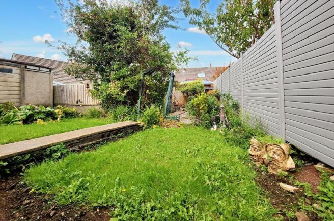 Garden 3.jpeg