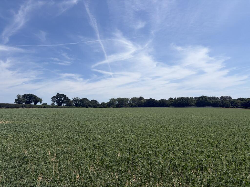 Main image of property: Hall Road, Barton Turf, Norwich, Norfolk, NR12 8AR