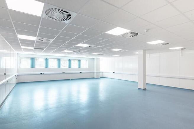 K1 Refurbished Labs-3.jpg