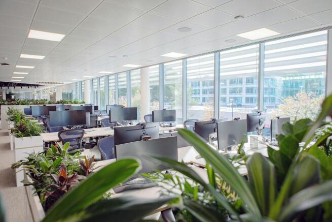 No5Workspace4.jpg