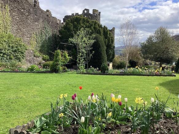 garden.jpg