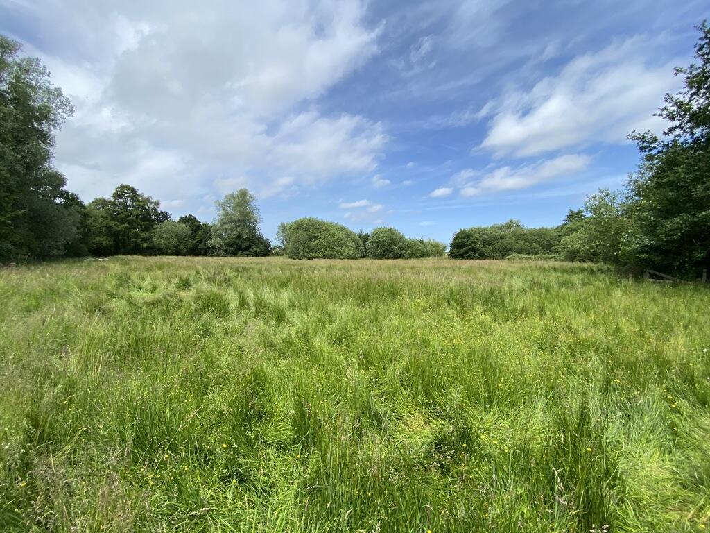 Main image of property: 1.82 Ha (4.50 Ac) Amenity Land, Berry Hall Road, Barton Turf, Norwich, Norfolk, NR12
