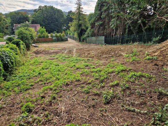 Looking East from top of the plot.jpg