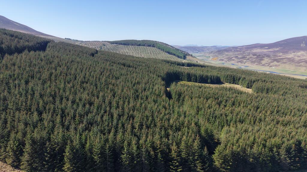 Main image of property: Torrish Forest, Near Helmsdale, Sutherland