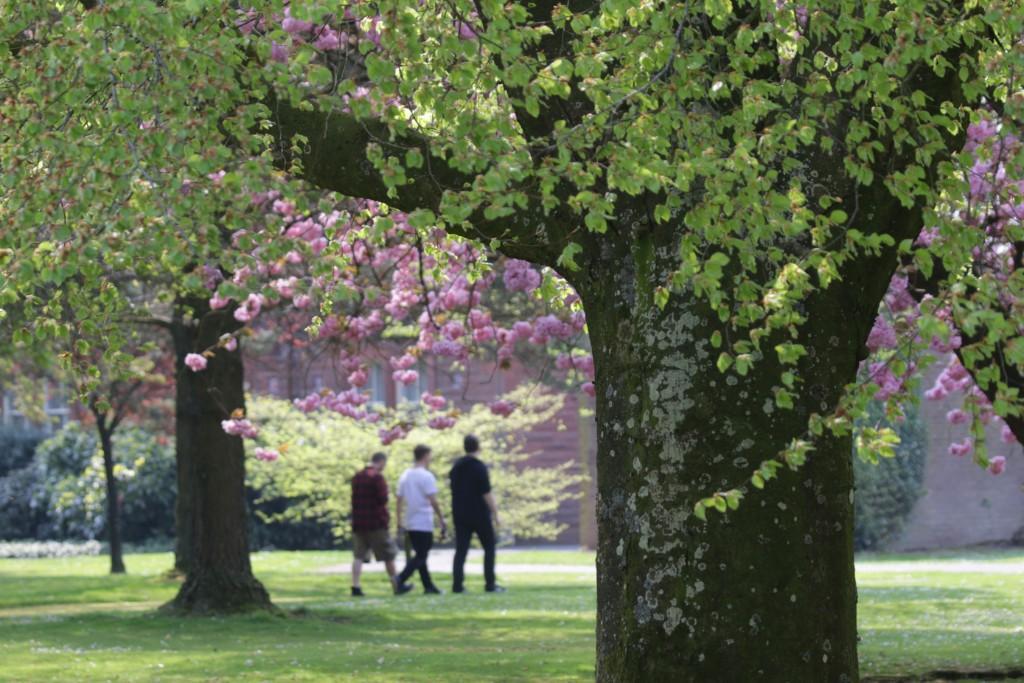 Open Spaces
