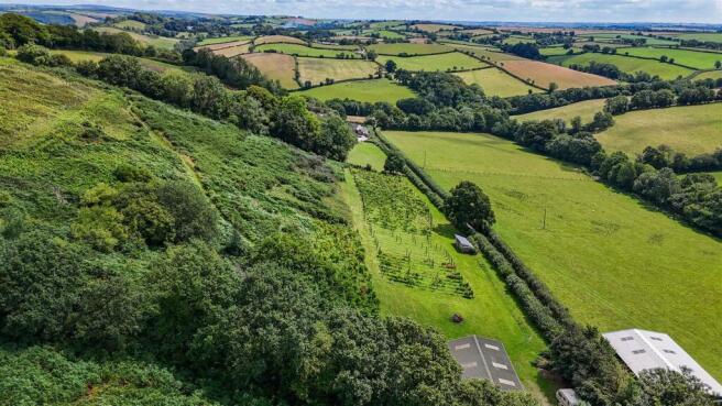 Drone View