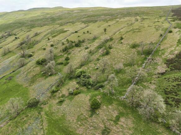 LOT 1 - Land at Littondale (360 acres)_0044.jpg