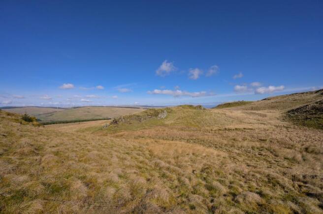 DarrachHill-45.jpg