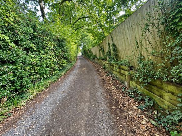 Photo 4.png
