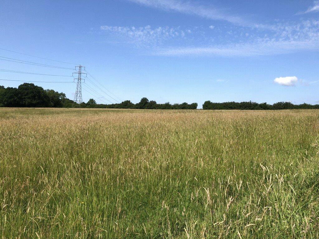 Main image of property: Bodle Street Green, Hailsham