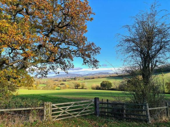 Fields